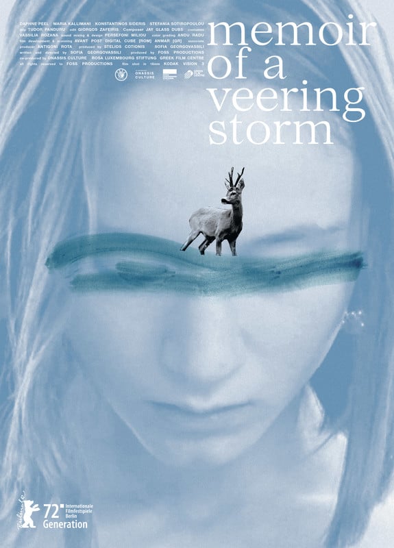 Memoir of a Veering Storm poster