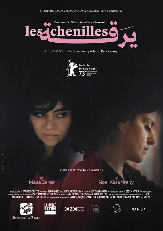 Les chenilles poster