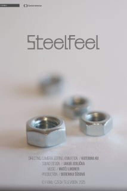 Steel Feel poster